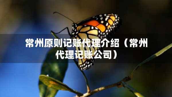 常州原則記賬代理介紹（常州代理記賬公司）