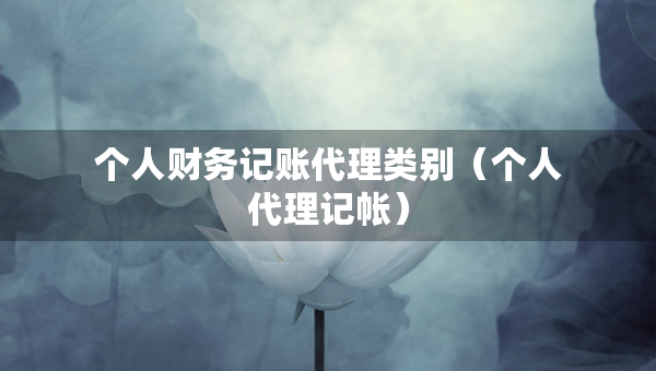 個(gè)人財(cái)務(wù)記賬代理類別（個(gè)人代理記帳）