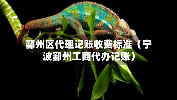 鄞州區(qū)代理記賬收費(fèi)標(biāo)準(zhǔn)（寧波鄞州工商代辦記賬）