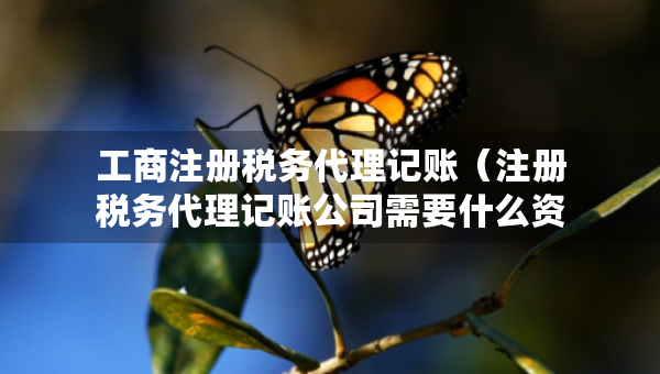 工商注冊(cè)稅務(wù)代理記賬（注冊(cè)稅務(wù)代理記賬公司需要什么資料）