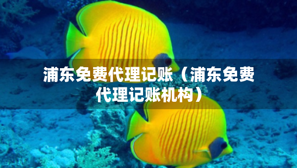 浦東免費代理記賬（浦東免費代理記賬機構(gòu)）