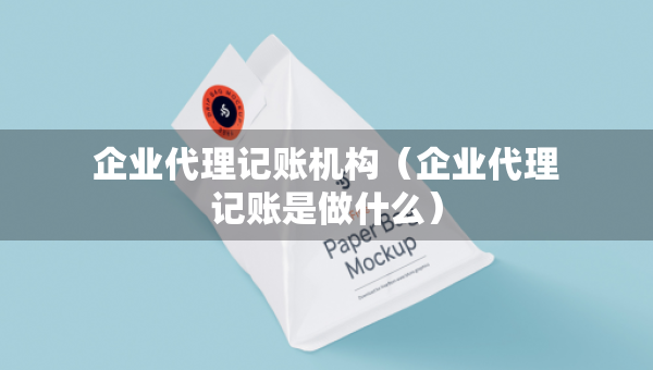 企業(yè)代理記賬機(jī)構(gòu)（企業(yè)代理記賬是做什么）