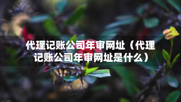 代理記賬公司年審網(wǎng)址（代理記賬公司年審網(wǎng)址是什么）