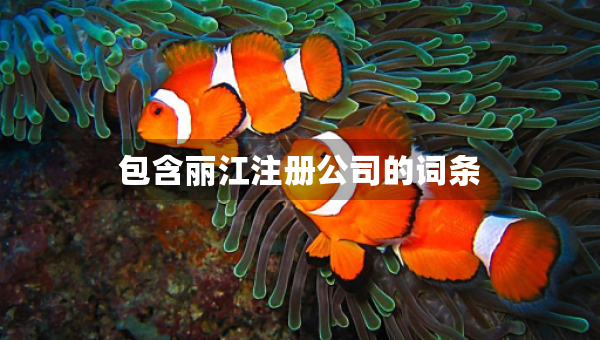 包含麗江注冊(cè)公司的詞條