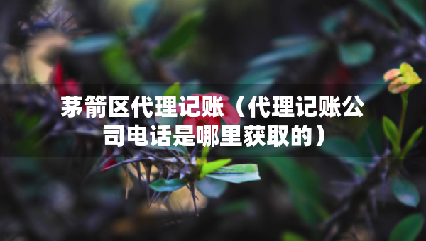 茅箭區(qū)代理記賬（代理記賬公司電話是哪里獲取的）