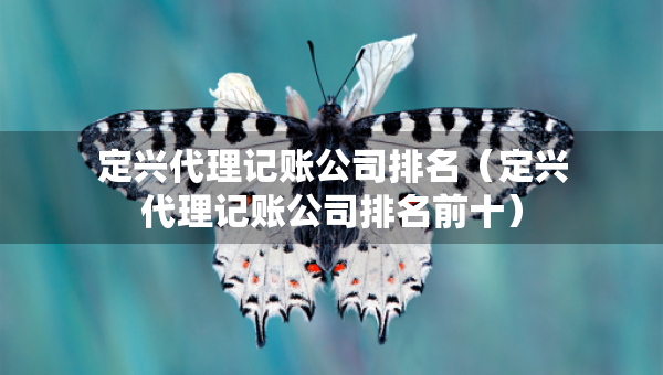 定興代理記賬公司排名（定興代理記賬公司排名前十）