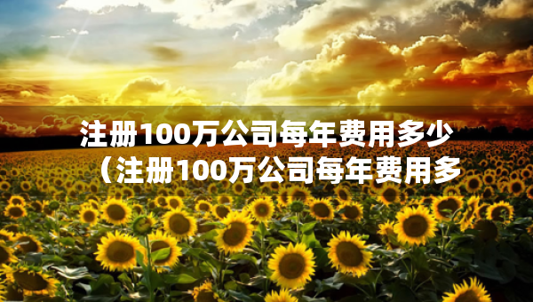 注冊(cè)100萬(wàn)公司每年費(fèi)用多少（注冊(cè)100萬(wàn)公司每年費(fèi)用多少錢）