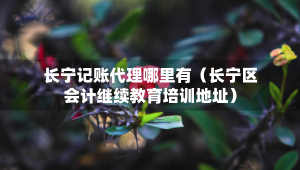 長寧記賬代理哪里有（長寧區(qū)會計繼續(xù)教育培訓(xùn)地址）