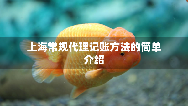 上海常規(guī)代理記賬方法的簡單介紹