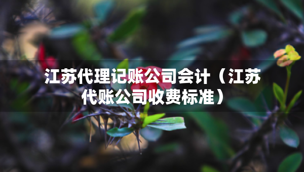 江蘇代理記賬公司會計（江蘇代賬公司收費標(biāo)準(zhǔn)）