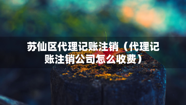 蘇仙區(qū)代理記賬注銷（代理記賬注銷公司怎么收費(fèi)）