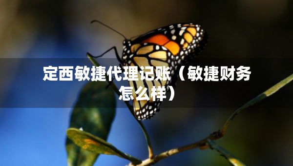 定西敏捷代理記賬（敏捷財(cái)務(wù)怎么樣）