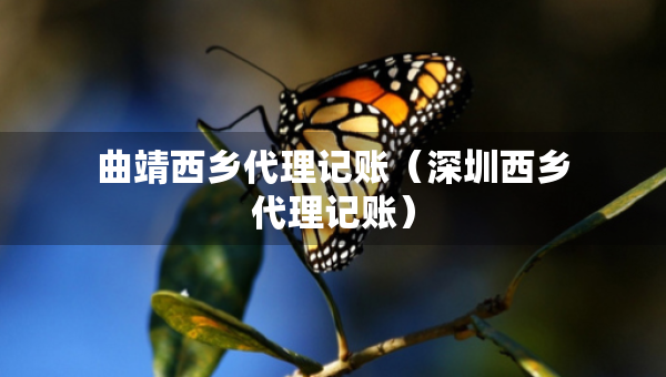 曲靖西鄉(xiāng)代理記賬（深圳西鄉(xiāng)代理記賬）