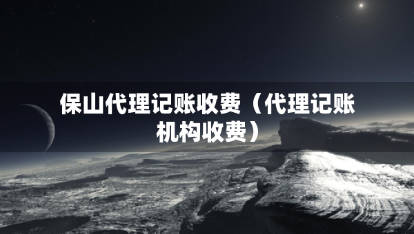 保山代理記賬收費（代理記賬機構(gòu)收費）