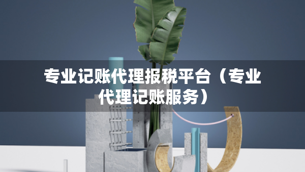 專業(yè)記賬代理報(bào)稅平臺（專業(yè)代理記賬服務(wù)）