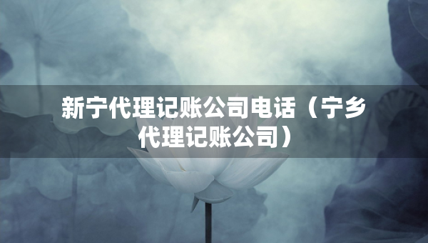 新寧代理記賬公司電話（寧鄉(xiāng)代理記賬公司）