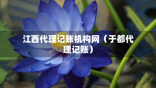 江西代理記賬機(jī)構(gòu)網(wǎng)（于都代理記賬）