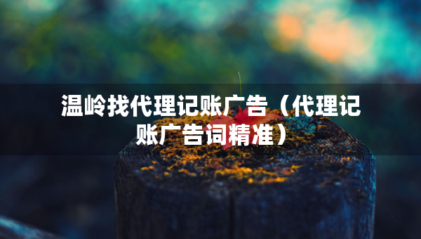 溫嶺找代理記賬廣告（代理記賬廣告詞精準(zhǔn)）