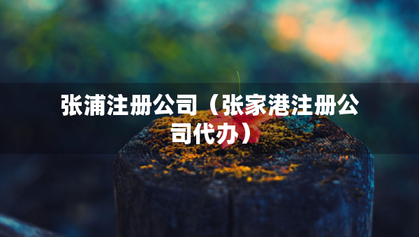 張浦注冊(cè)公司（張家港注冊(cè)公司代辦）