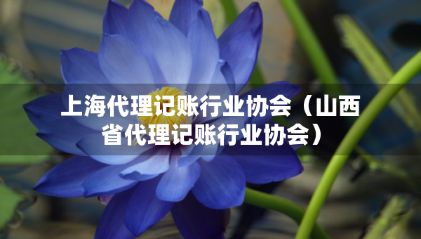 上海代理記賬行業(yè)協(xié)會（山西省代理記賬行業(yè)協(xié)會）