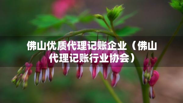 佛山優(yōu)質(zhì)代理記賬企業(yè)（佛山代理記賬行業(yè)協(xié)會(huì)）