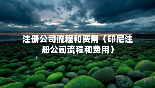 注冊(cè)公司流程和費(fèi)用（印尼注冊(cè)公司流程和費(fèi)用）