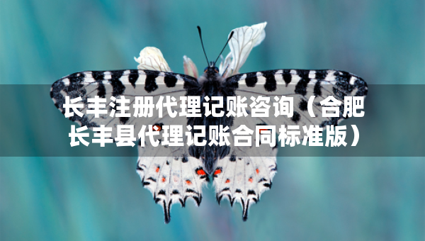 長(zhǎng)豐注冊(cè)代理記賬咨詢（合肥長(zhǎng)豐縣代理記賬合同標(biāo)準(zhǔn)版）