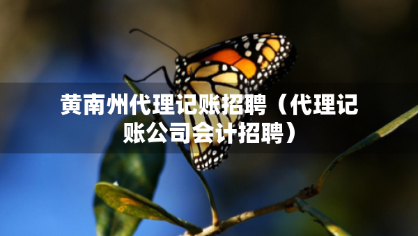 黃南州代理記賬招聘（代理記賬公司會(huì)計(jì)招聘）