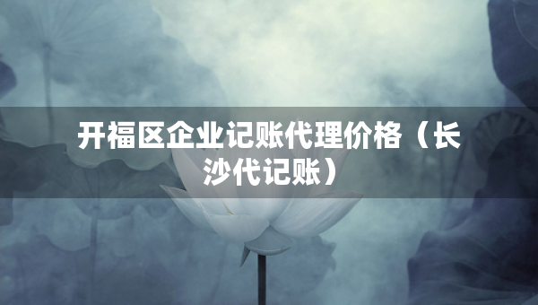 開福區(qū)企業(yè)記賬代理價格（長沙代記賬）