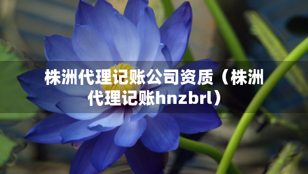 株洲代理記賬公司資質(zhì)（株洲代理記賬hnzbrl）