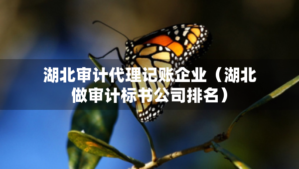 湖北審計(jì)代理記賬企業(yè)（湖北做審計(jì)標(biāo)書公司排名）