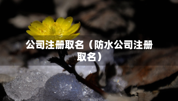 公司注冊(cè)取名（防水公司注冊(cè)取名）