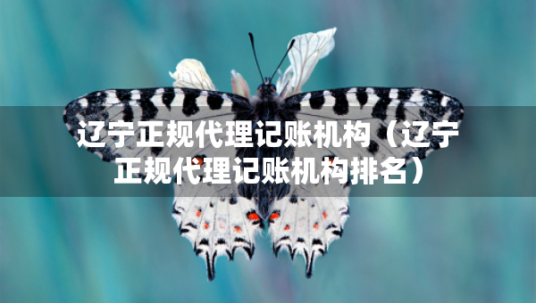 遼寧正規(guī)代理記賬機(jī)構(gòu)（遼寧正規(guī)代理記賬機(jī)構(gòu)排名）