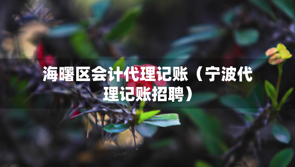 海曙區(qū)會(huì)計(jì)代理記賬（寧波代理記賬招聘）