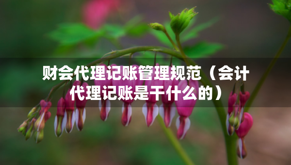 財會代理記賬管理規(guī)范（會計代理記賬是干什么的）