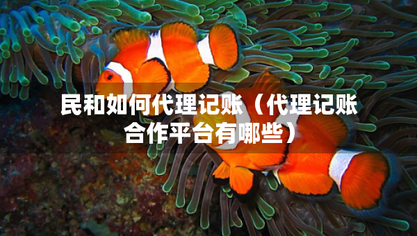 民和如何代理記賬（代理記賬合作平臺(tái)有哪些）