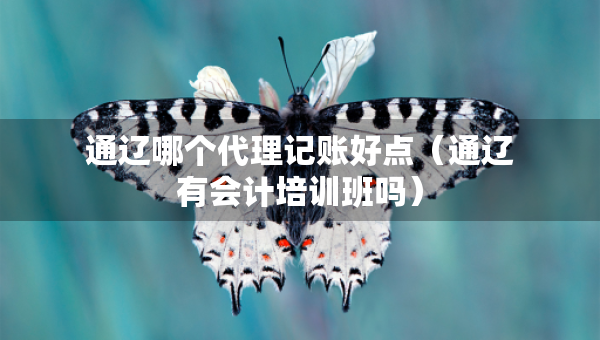 通遼哪個(gè)代理記賬好點(diǎn)（通遼有會(huì)計(jì)培訓(xùn)班嗎）