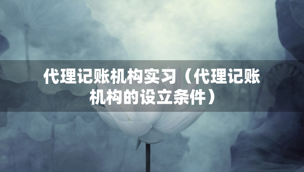 代理記賬機構(gòu)實習(xí)（代理記賬機構(gòu)的設(shè)立條件）