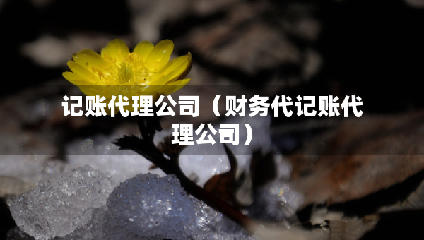 記賬代理公司（財(cái)務(wù)代記賬代理公司）