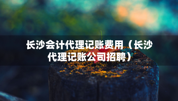 長(zhǎng)沙會(huì)計(jì)代理記賬費(fèi)用（長(zhǎng)沙代理記賬公司招聘）