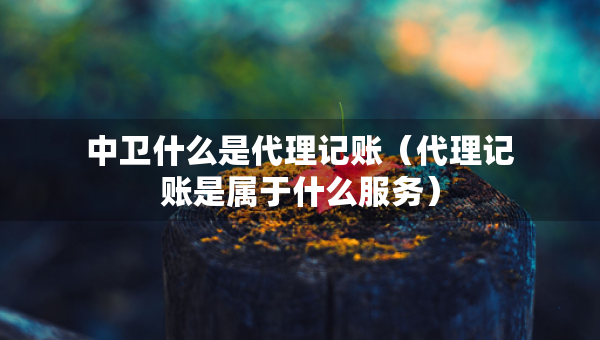 中衛(wèi)什么是代理記賬（代理記賬是屬于什么服務(wù)）