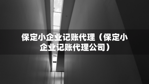 保定小企業(yè)記賬代理（保定小企業(yè)記賬代理公司）