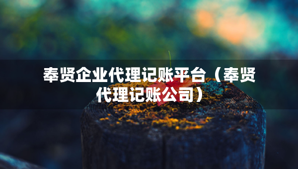 奉賢企業(yè)代理記賬平臺(tái)（奉賢代理記賬公司）