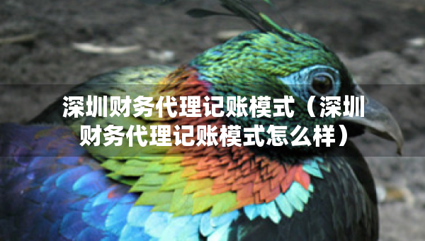 深圳財(cái)務(wù)代理記賬模式（深圳財(cái)務(wù)代理記賬模式怎么樣）