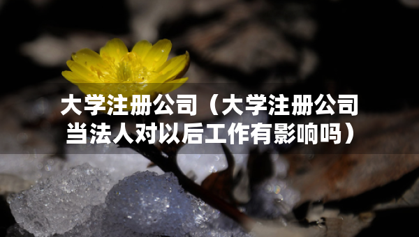 大學(xué)注冊(cè)公司（大學(xué)注冊(cè)公司當(dāng)法人對(duì)以后工作有影響嗎）