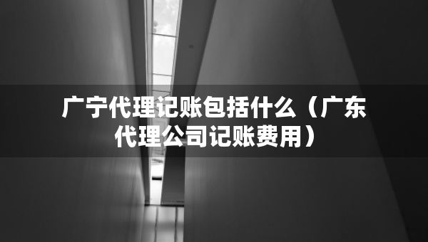 廣寧代理記賬包括什么（廣東代理公司記賬費用）