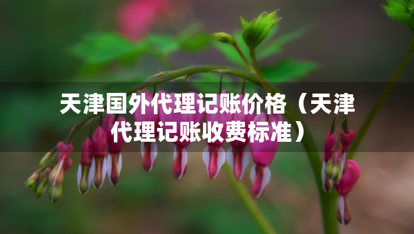 天津國外代理記賬價格（天津代理記賬收費標(biāo)準(zhǔn)）