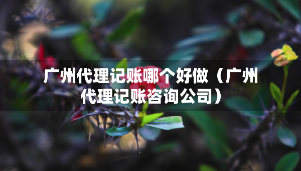 廣州代理記賬哪個(gè)好做（廣州代理記賬咨詢公司）