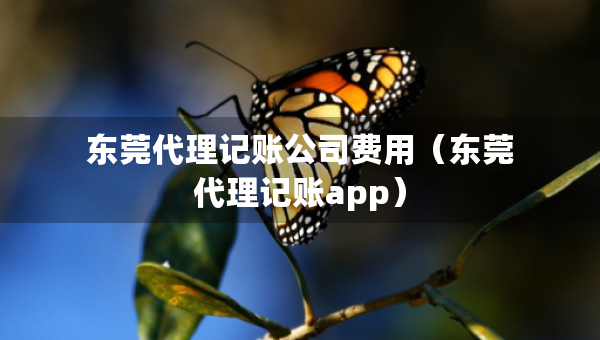 東莞代理記賬公司費用（東莞代理記賬app）