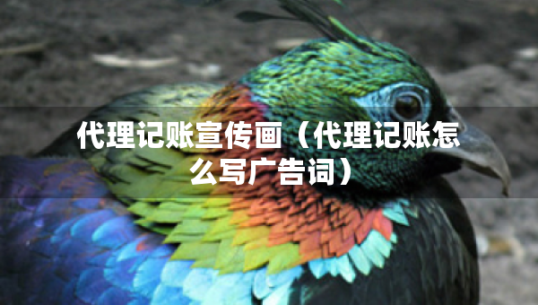 代理記賬宣傳畫（代理記賬怎么寫廣告詞）